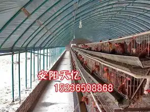 2012326102411高清大图