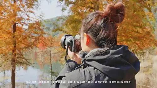 摄影师拍摄甸尾村秋冬季水杉林,视频素材画视记官网