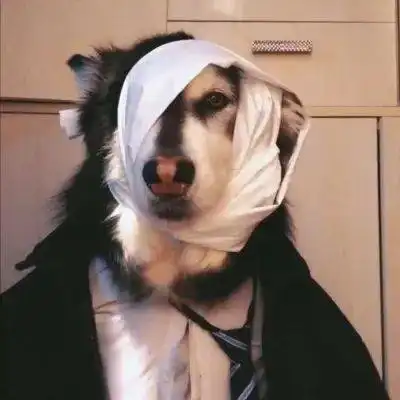 搞笑人士用沙雕头像