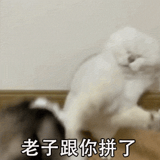 一组很骚的萌宠表情包这里,难受