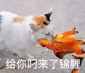 萧内君给大家发现金红包,下手要快祝大家鸡年人品爆发