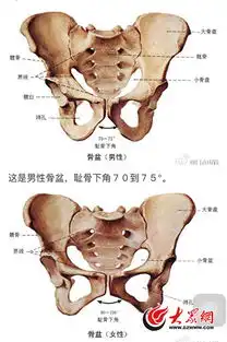 中国女子泰国吞钻石飙日语是假新闻配图全部张冠李戴