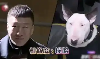 测试一个超长简介的文章