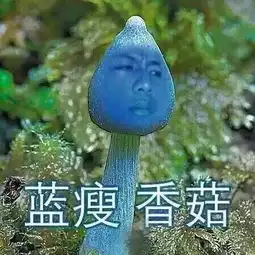 为了帮你们备战双十一,这次真是下血本了喏,这1000元拿去花