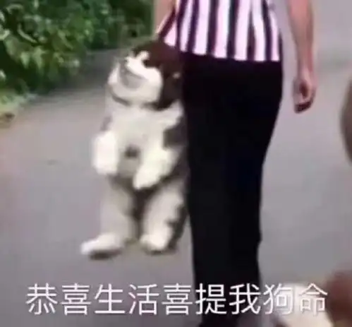 涵伊的想法粉底液经常用会不会导致什么问题