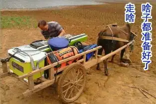 钓鱼qq图片钓鱼搞笑动态图片大全qq搞笑表情窝窝qq网