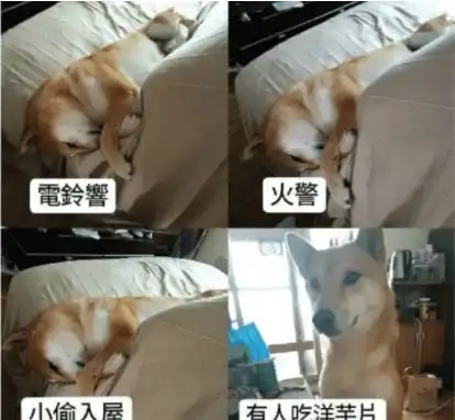 搞笑gif图姐夫你找别人带你吧,我今晚真的不想去网吧通宵