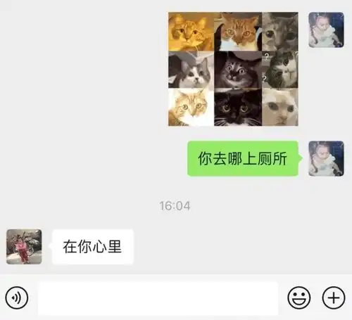 男友是直男什么体验女生被一句话气哭了,看完后笑晕在厕所