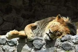 测试一个超长简介的文章