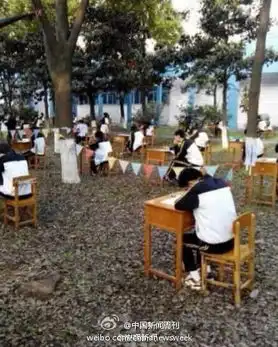 学校防作弊出绝招在树林里考试