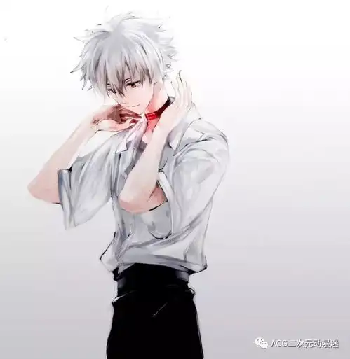 壁纸渚薰新世纪福音战士316期