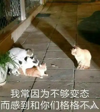 男生能穿女款的铅笔裤吗
