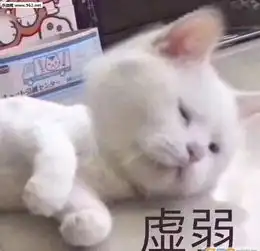 回家躲三天,不敢见家人,只喝水充饥原来他在厦门干了件丑事