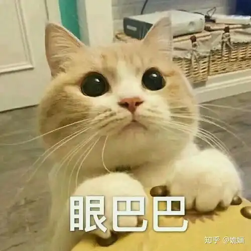 你有哪些关于猫狗的表情包