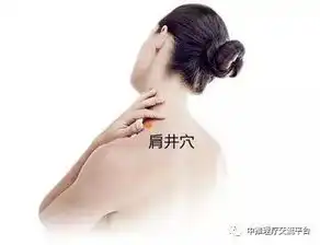 找了很久,真牛啊,各种病都能找到对应的穴位