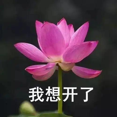 骤降气温大跳水来了