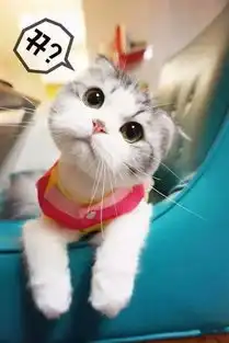 求这只小猫的组图,应该有其他的表情