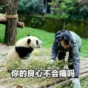 柳州五子女拒绝赡养八旬父母,被告上法庭后竟称只愿出50元