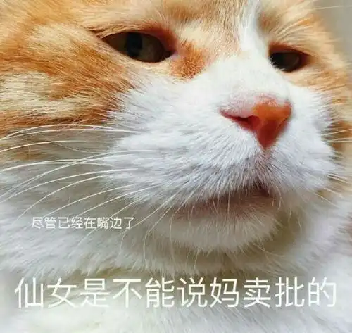铲屎官记录小猫咪变成胖猫绝育成长过程外番