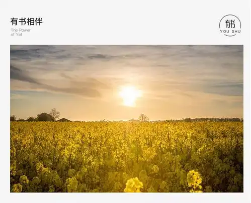 人品好的人,都自带光芒