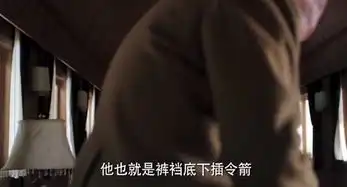 被少帅吸引,全因为妈了个巴子的