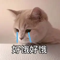 富婆饭饭饿饿丨第173期喵表情