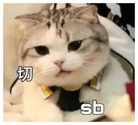 搞笑gif趣图不管是人还是鸭子,这样走路都会挨打的