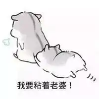 仓鼠夫君妻奴表情包老婆老婆老婆我们的心里只有老婆