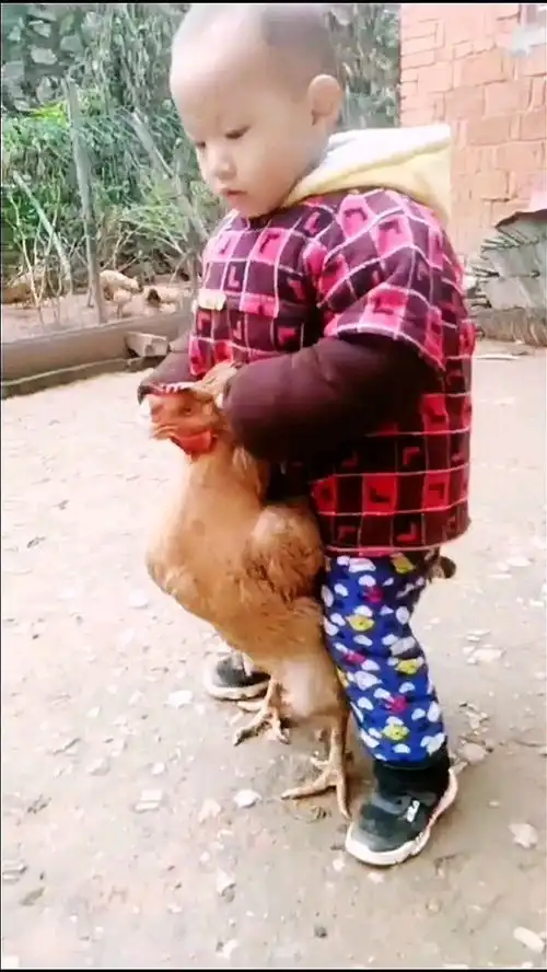 儿童搞笑视频