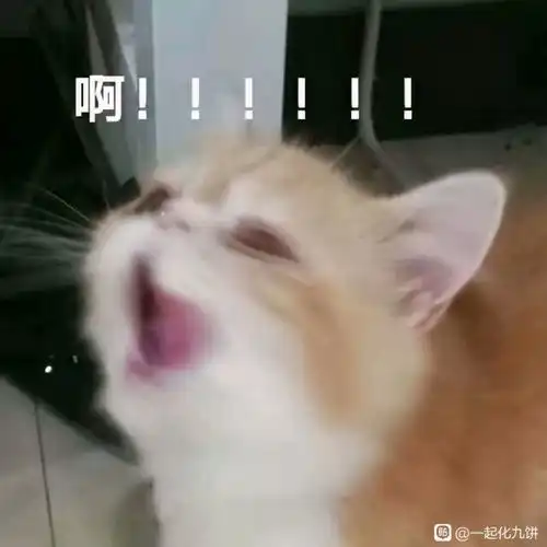 天策玩家对马的爱能到什么程度画师爆料花重金让我给马画照片