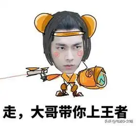 王者荣耀若只能放二技能,守约最强,韩信最快乐,他只能平a