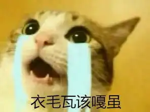 笑哭三亚人民人手必备的聊天表情包