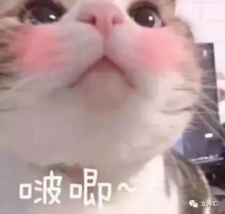 网购了一个手机壳后...这是遭遇了什么哈哈哈哈