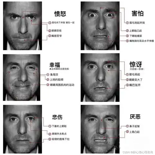 奇妙的房树人测验教你看画识人心