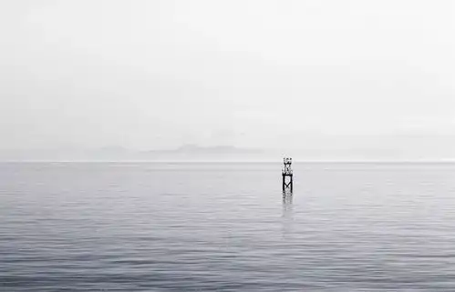 人品好的人,总是自带光芒