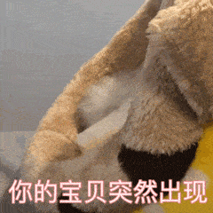 干啥啥不行蹦迪第一名