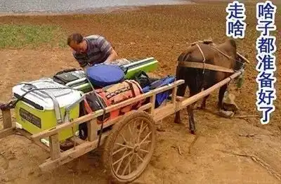 钓鱼人的一周生活,无数人躺枪