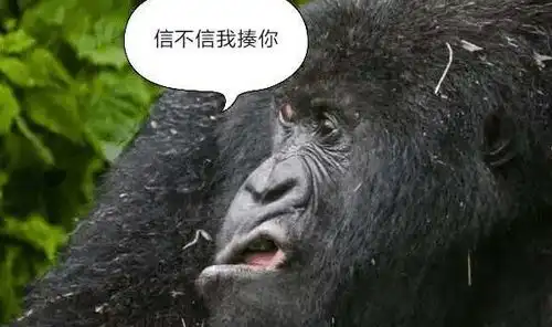 笑到吐血的段子哎呀,红包来了就行嘛,还来什么人哪