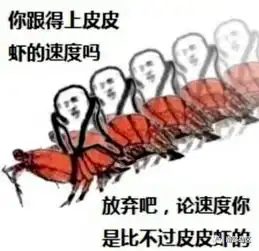 皮皮虾,我们走,兵哥哥带你领略50公里的风光