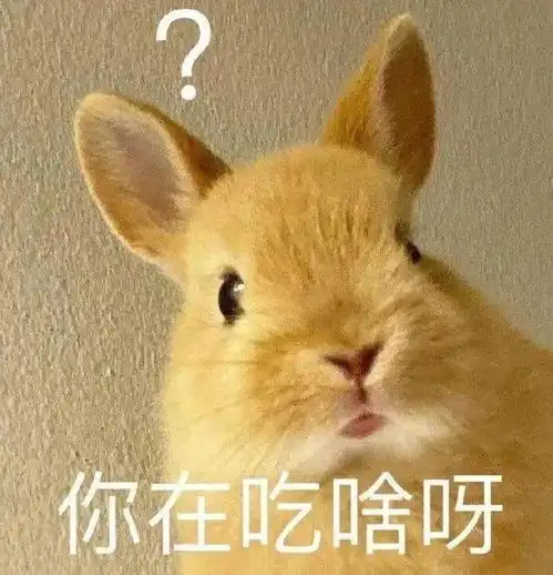 聊天表情包分享