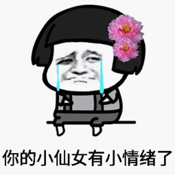 宠小仙女的表情包
