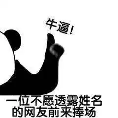 人物你说我炫技但我充满情感让努维尔
