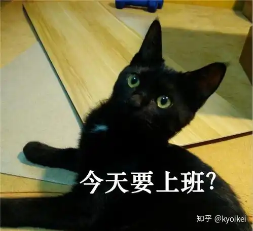 你有哪些关于猫狗的表情包