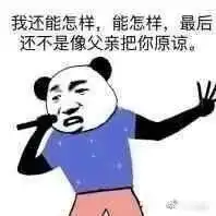 测试一个超长简介的文章