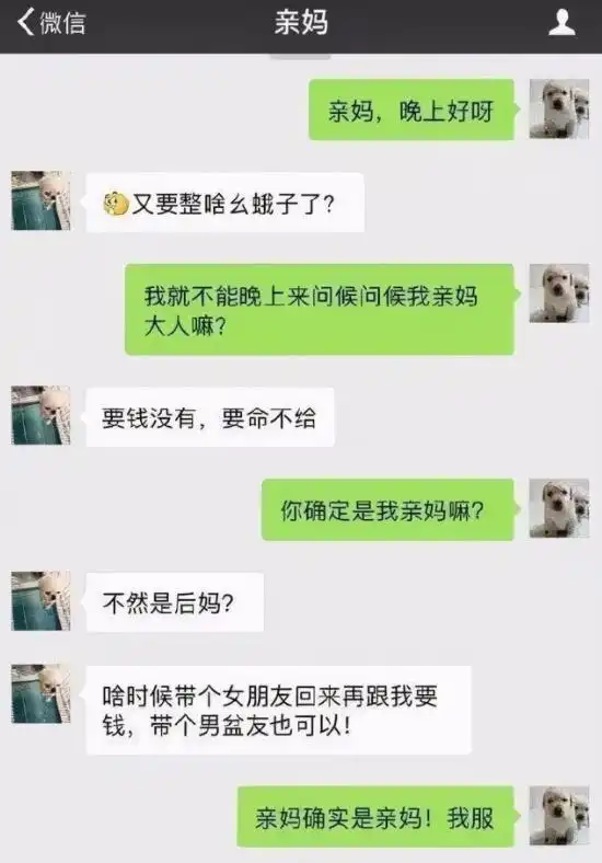 大学生和父母聊天记录走红,爆笑内容引网友热议,网友亲生的