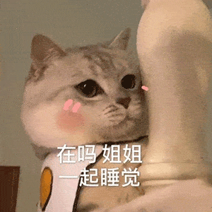 沙雕表情包丨太晚了去你家