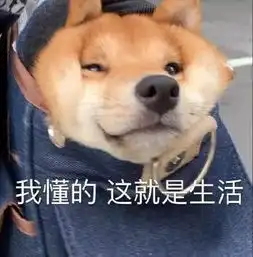 笑话段子别的小朋友去幼儿园都哭,为啥你这么开心呢