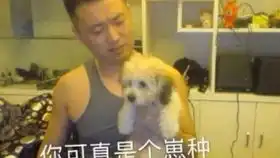 震惊药水玛莎拉蒂被偷