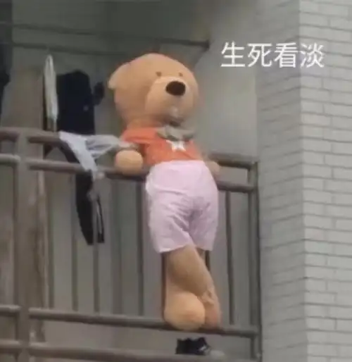 干货