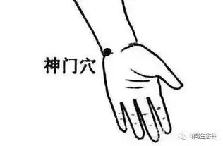 帕玛生态谷失眠太痛苦试试特效按摩法
